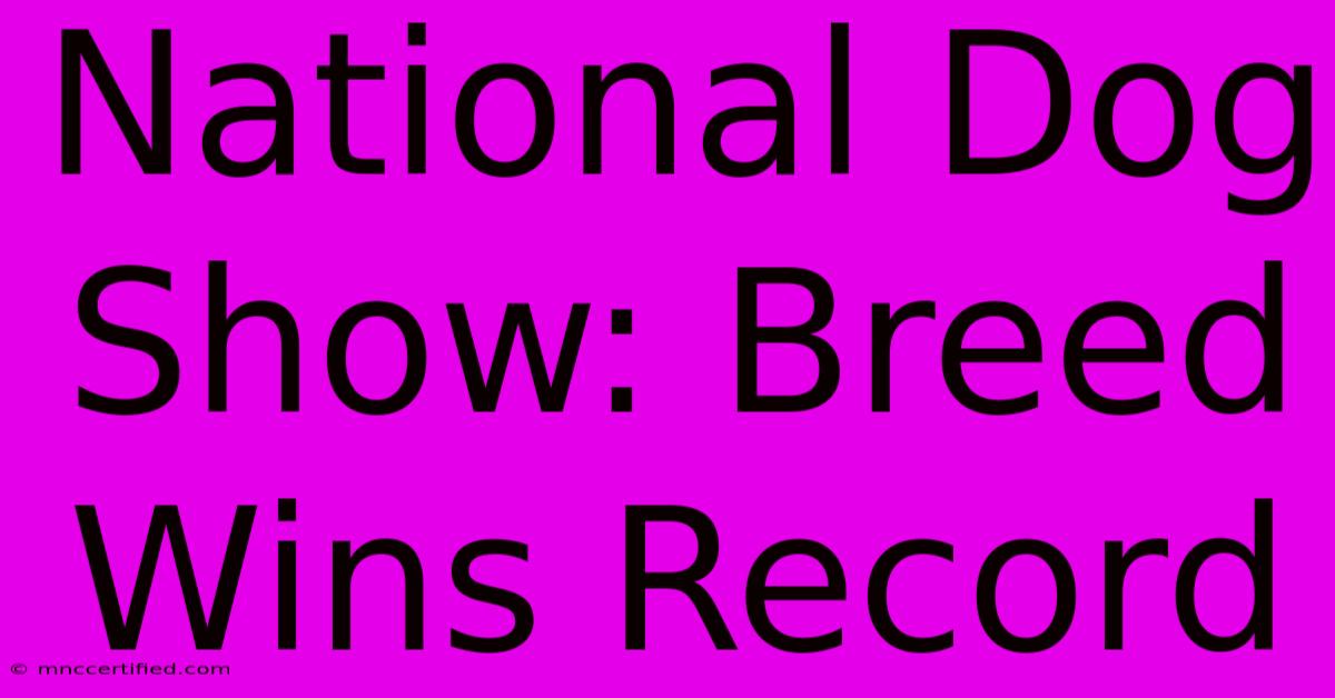 National Dog Show: Breed Wins Record