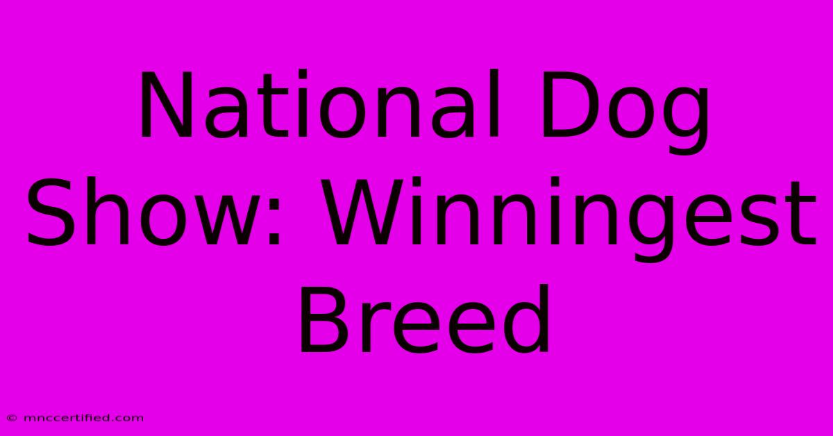 National Dog Show: Winningest Breed