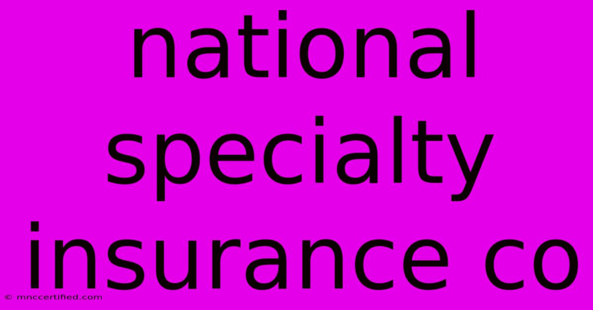 National Specialty Insurance Co