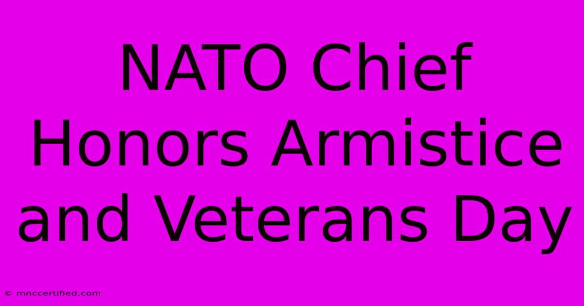 NATO Chief Honors Armistice And Veterans Day