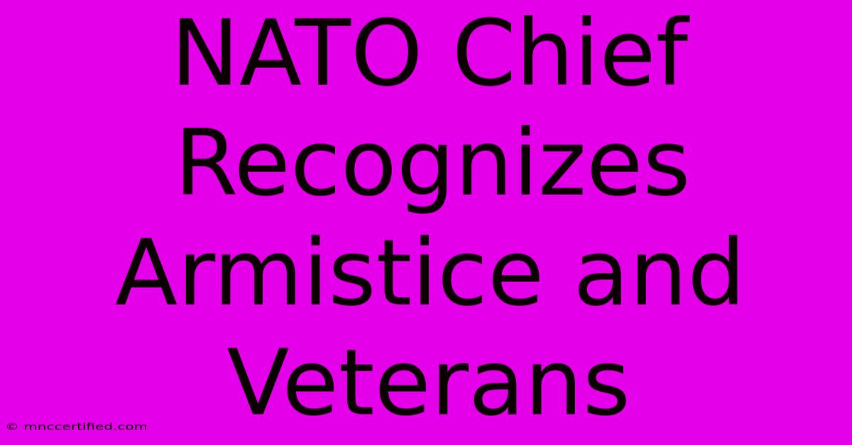 NATO Chief Recognizes Armistice And Veterans 