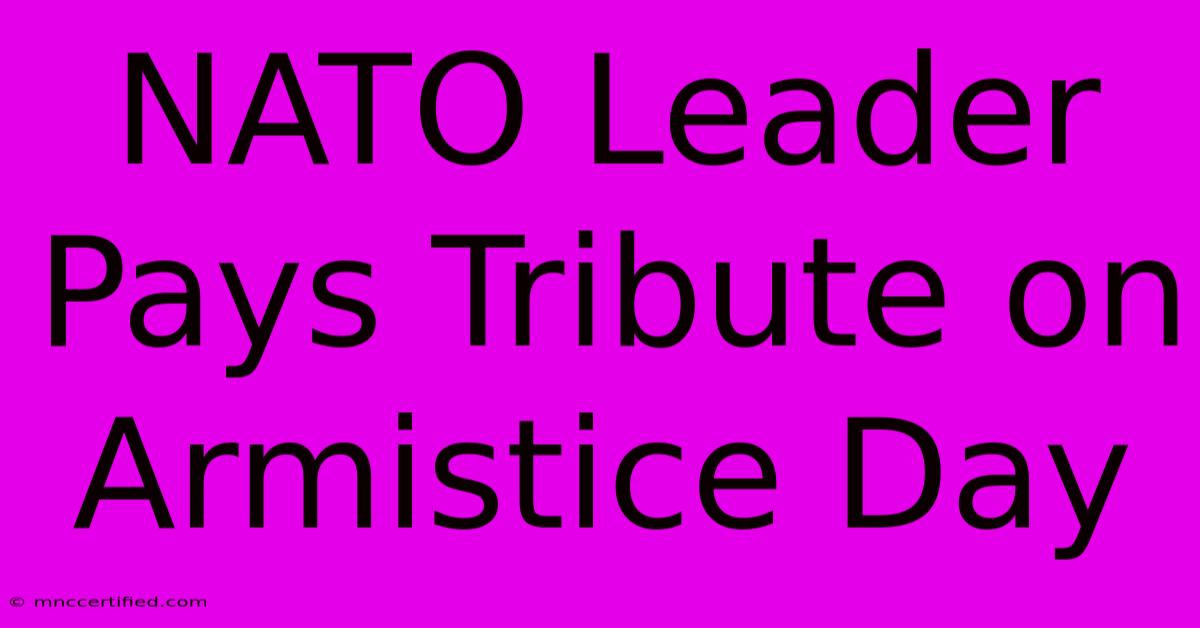 NATO Leader Pays Tribute On Armistice Day