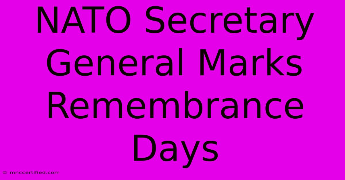 NATO Secretary General Marks Remembrance Days