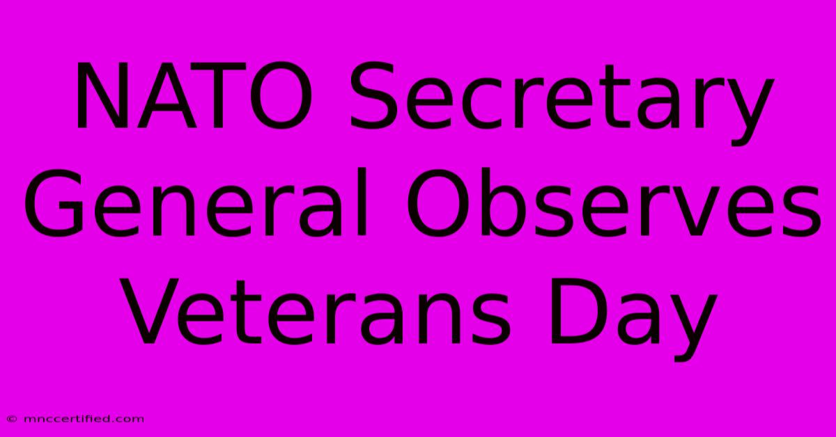 NATO Secretary General Observes Veterans Day