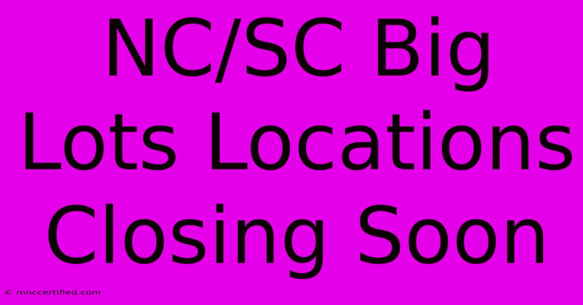 NC/SC Big Lots Locations Closing Soon