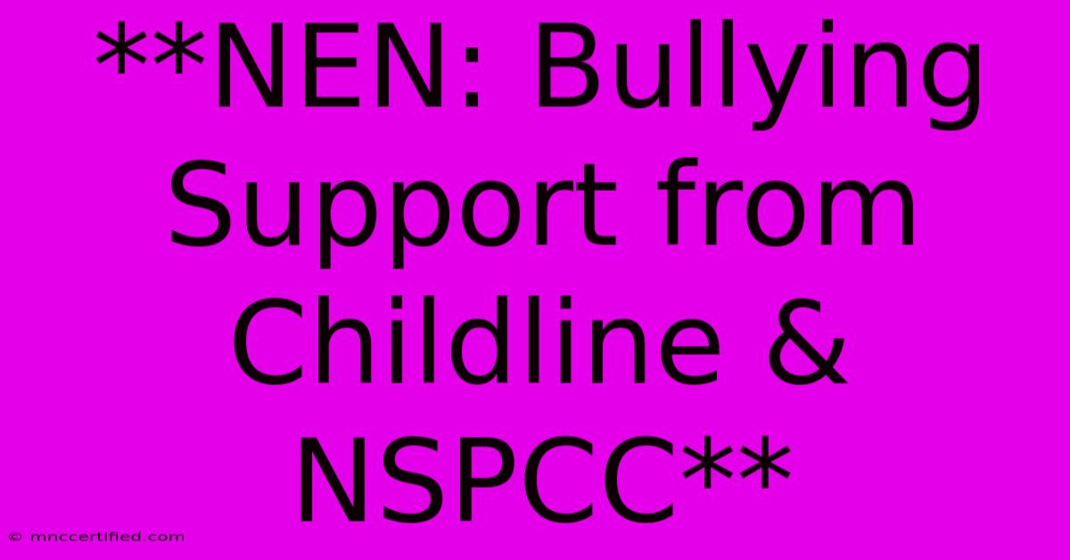 **NEN: Bullying Support From Childline & NSPCC**