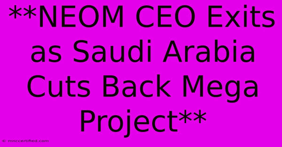 **NEOM CEO Exits As Saudi Arabia Cuts Back Mega Project**