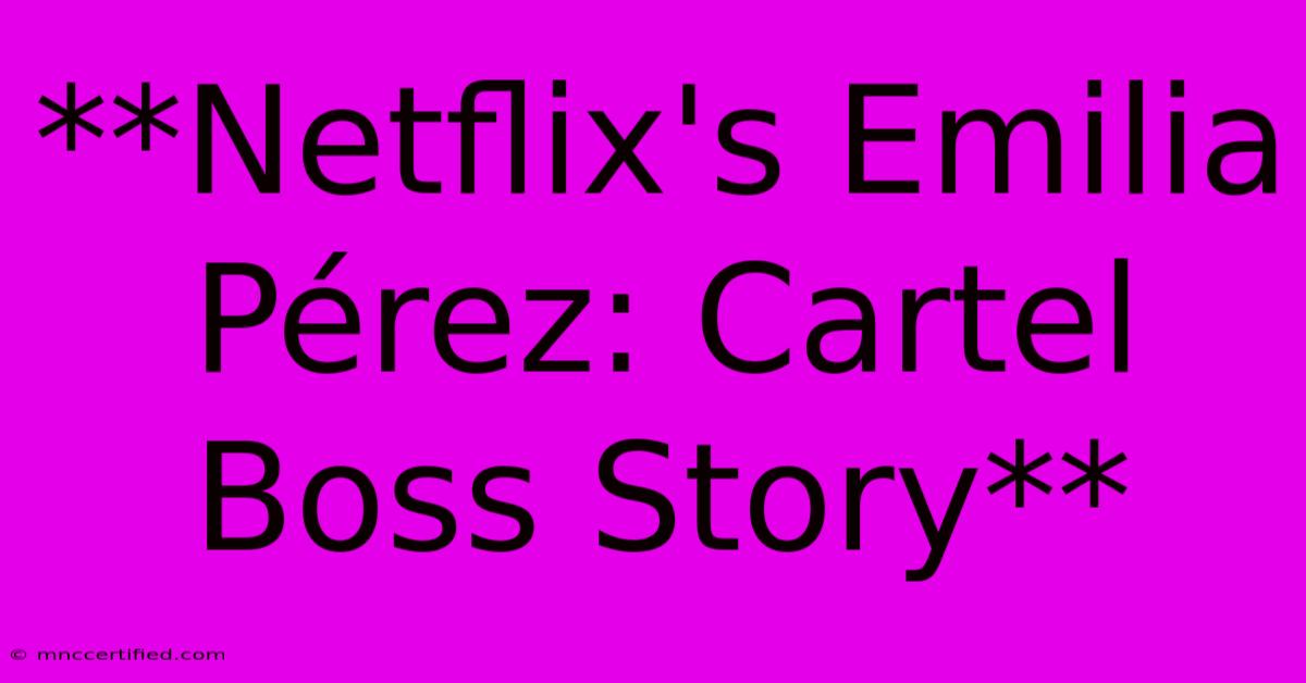 **Netflix's Emilia Pérez: Cartel Boss Story** 