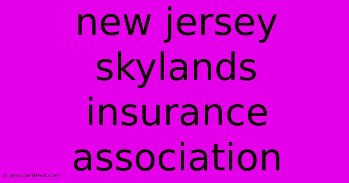 New Jersey Skylands Insurance Association