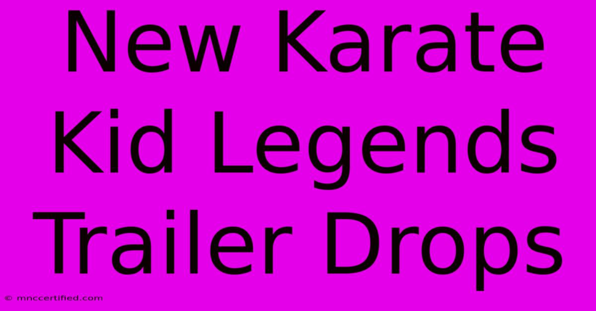 New Karate Kid Legends Trailer Drops