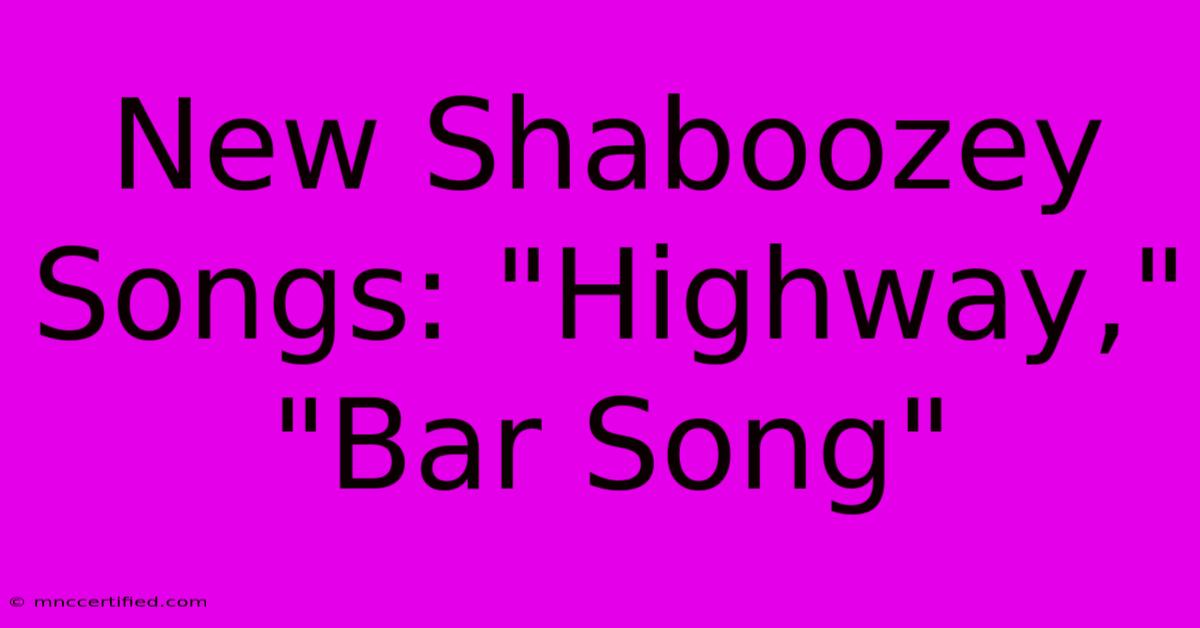 New Shaboozey Songs: 