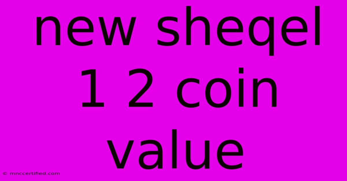 New Sheqel 1 2 Coin Value