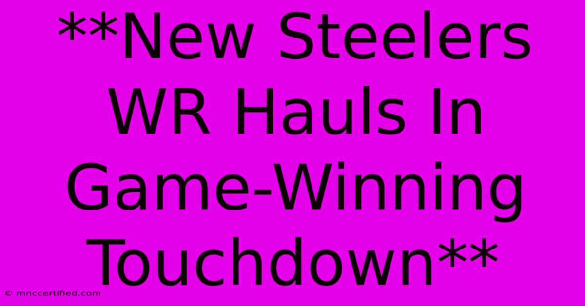 **New Steelers WR Hauls In Game-Winning Touchdown**