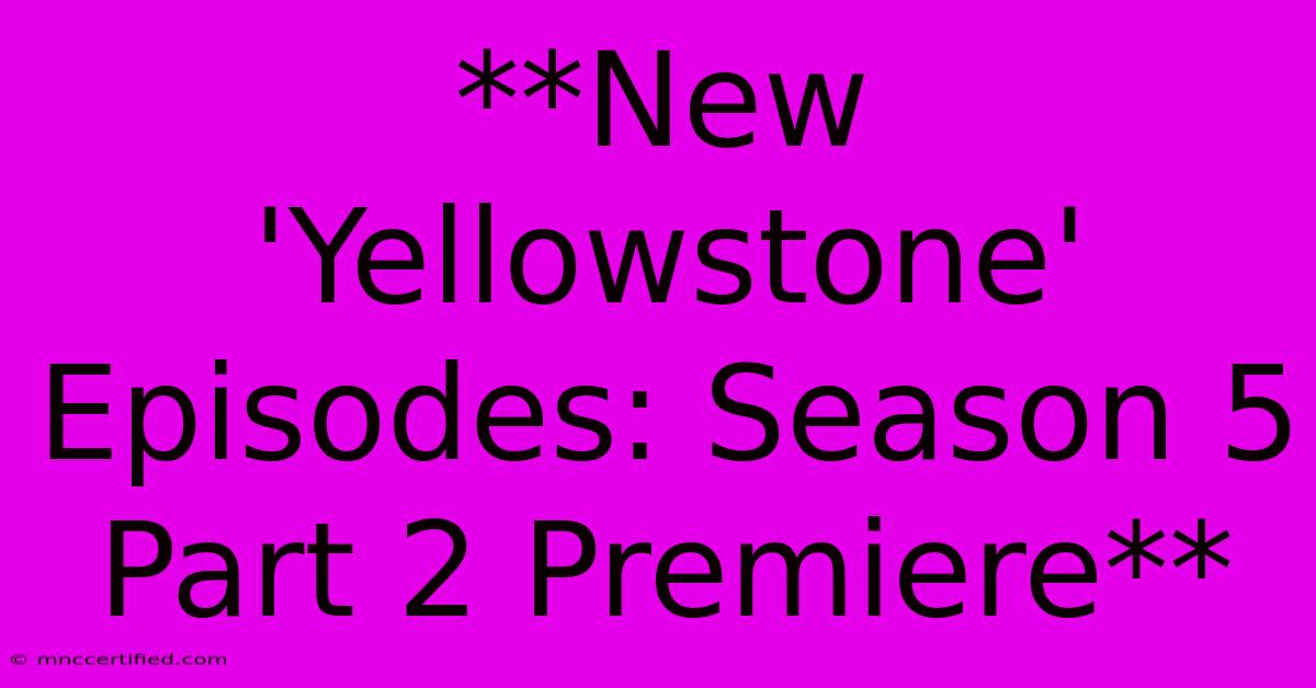 **New 'Yellowstone' Episodes: Season 5 Part 2 Premiere**