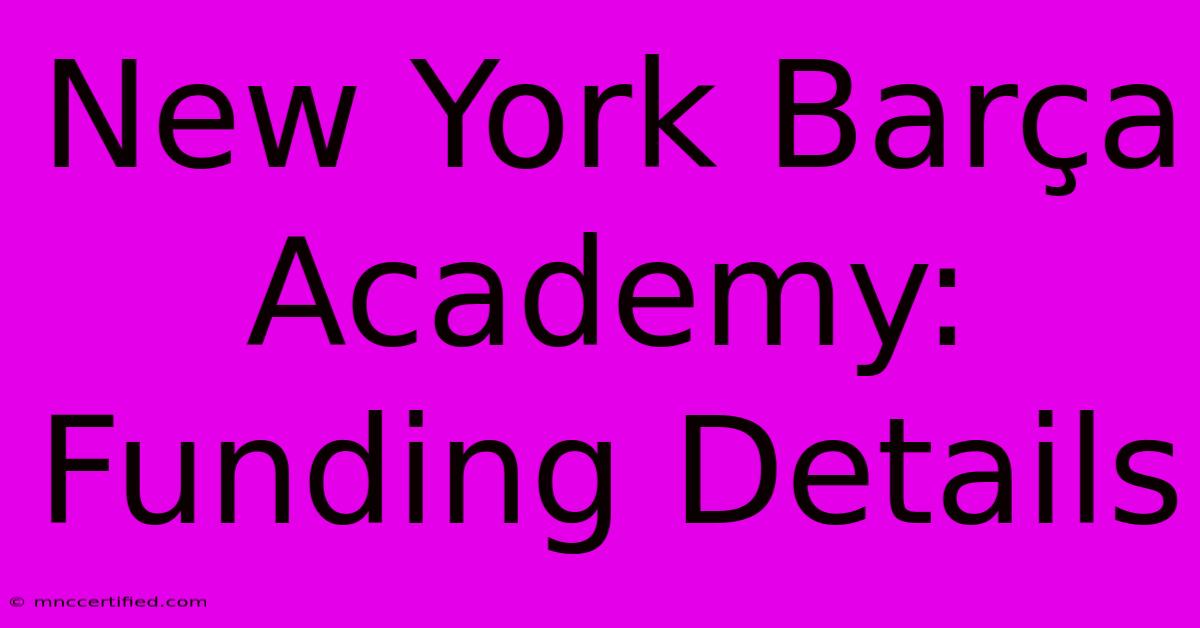 New York Barça Academy: Funding Details