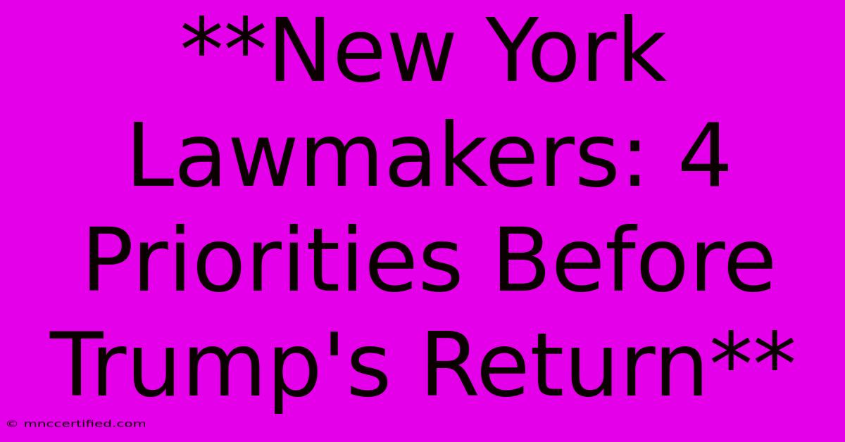 **New York Lawmakers: 4 Priorities Before Trump's Return**