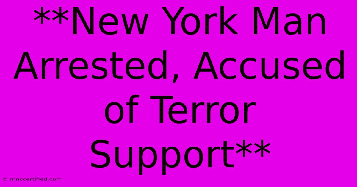 **New York Man Arrested, Accused Of Terror Support** 