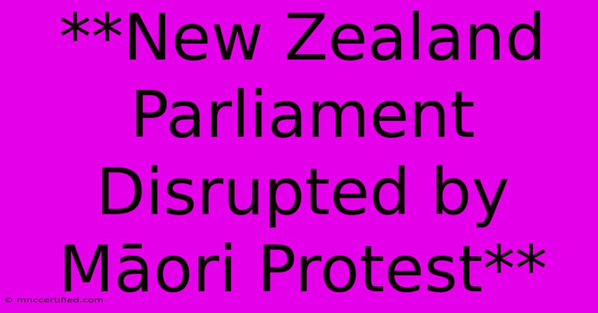 **New Zealand Parliament Disrupted By Māori Protest**