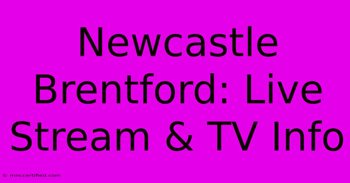 Newcastle Brentford: Live Stream & TV Info