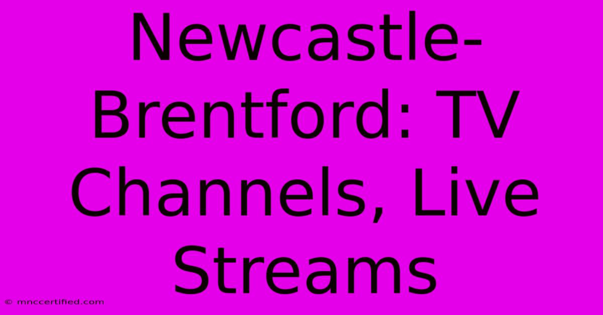 Newcastle-Brentford: TV Channels, Live Streams