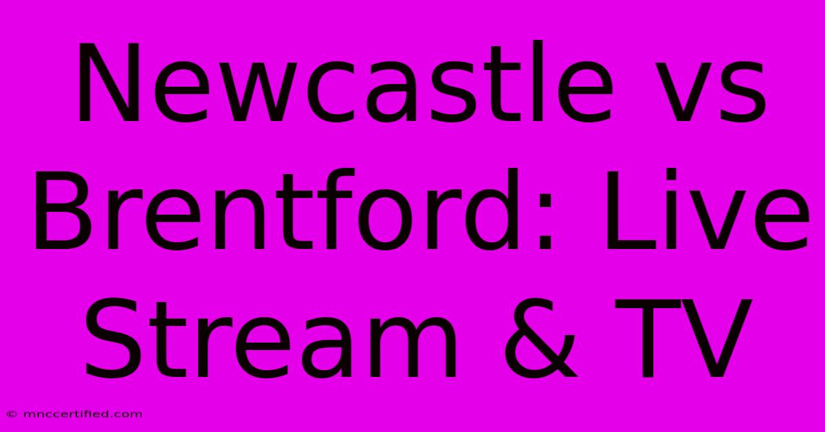 Newcastle Vs Brentford: Live Stream & TV