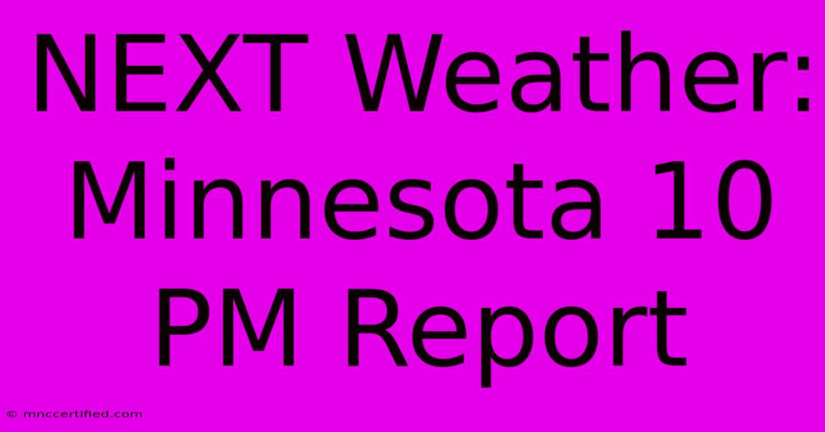 NEXT Weather: Minnesota 10 PM Report