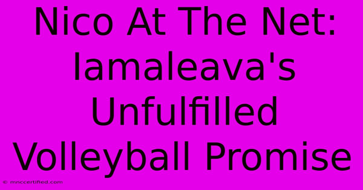 Nico At The Net:  Iamaleava's Unfulfilled Volleyball Promise