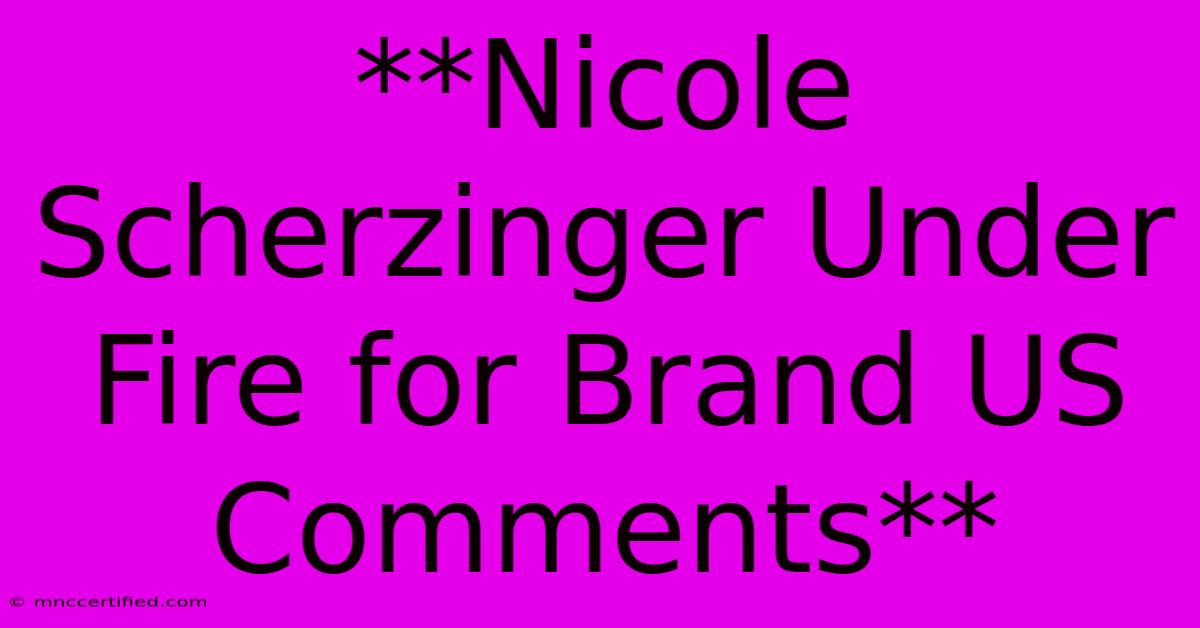 **Nicole Scherzinger Under Fire For Brand US Comments** 