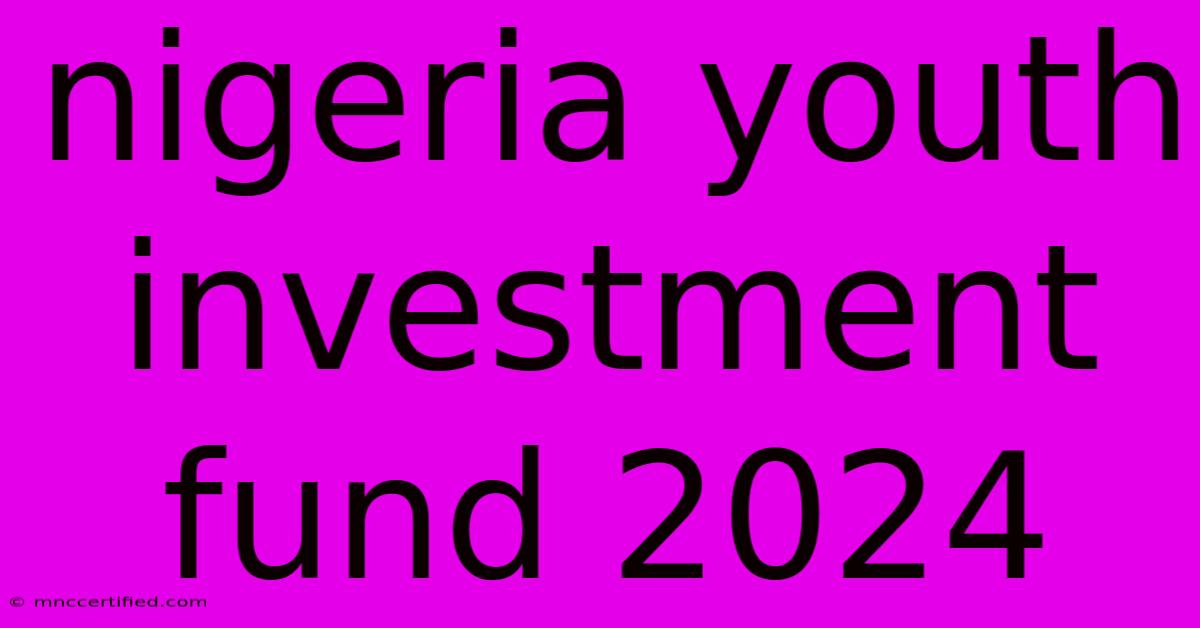 Nigeria Youth Investment Fund 2024