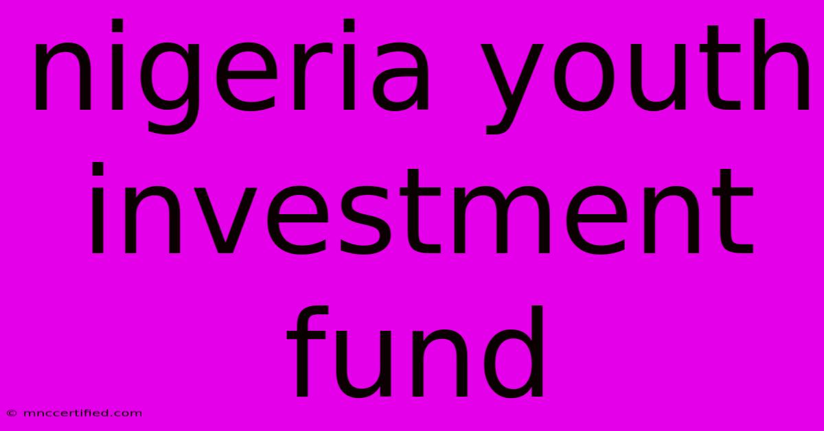 Nigeria Youth Investment Fund