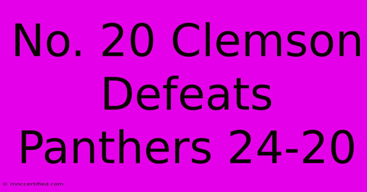 No. 20 Clemson Defeats Panthers 24-20