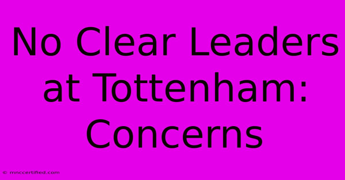 No Clear Leaders At Tottenham: Concerns