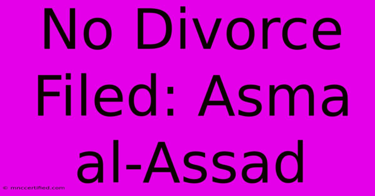 No Divorce Filed: Asma Al-Assad