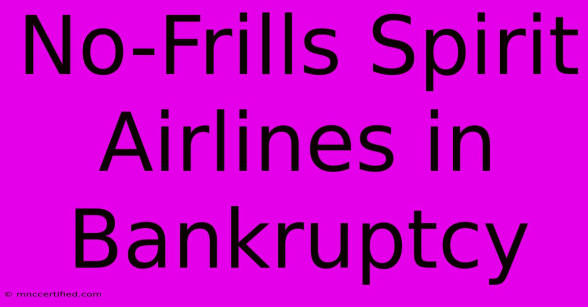 No-Frills Spirit Airlines In Bankruptcy