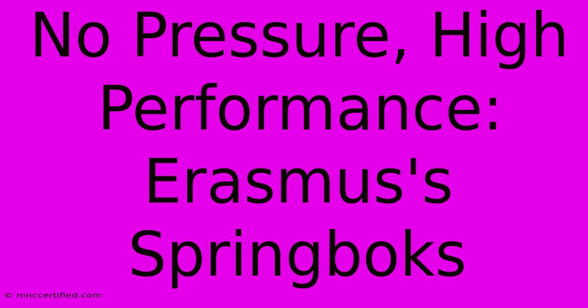 No Pressure, High Performance: Erasmus's Springboks