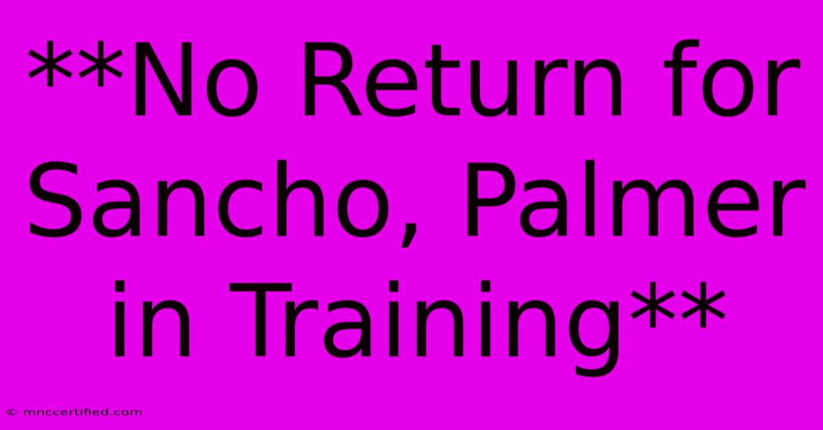 **No Return For Sancho, Palmer In Training** 