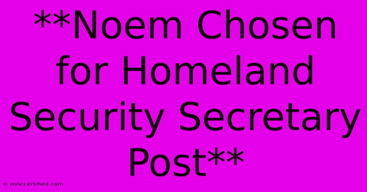 **Noem Chosen For Homeland Security Secretary Post**