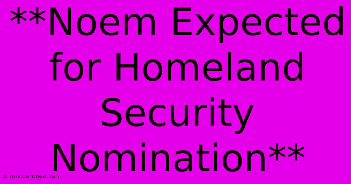 **Noem Expected For Homeland Security Nomination**