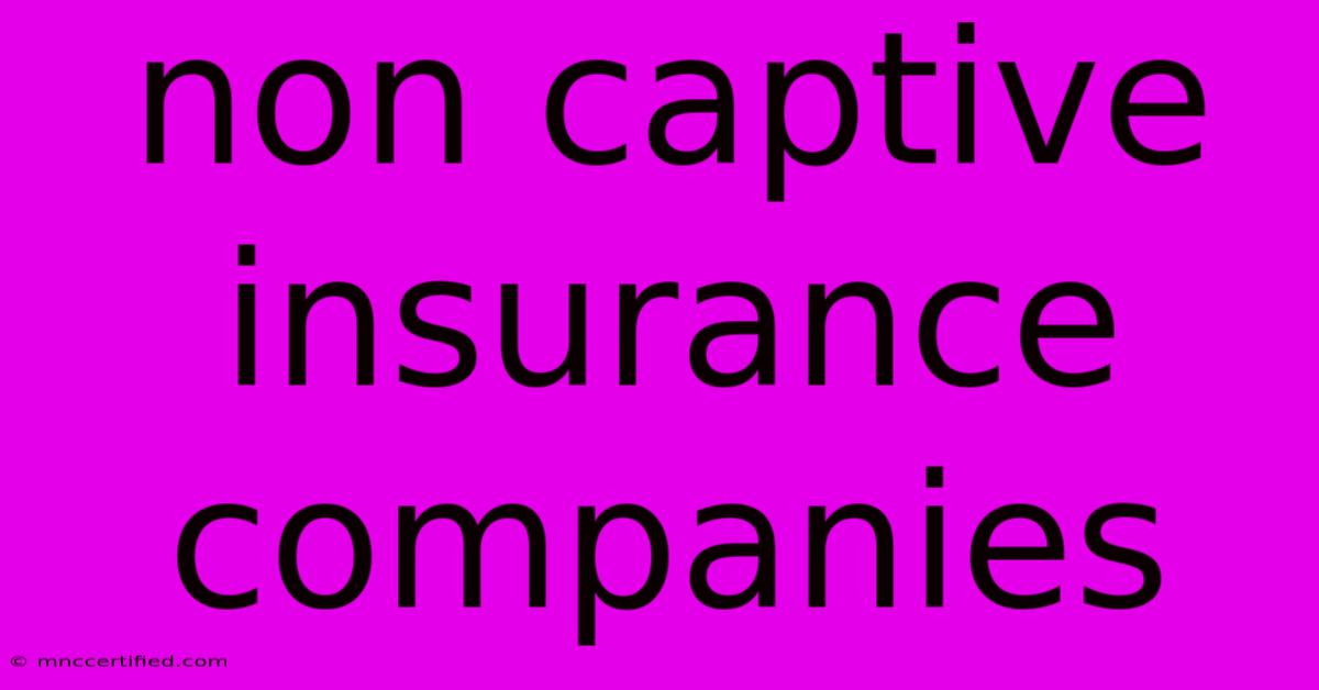 Non Captive Insurance Companies