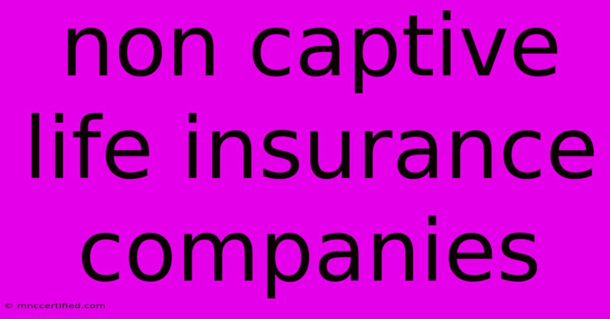 Non Captive Life Insurance Companies