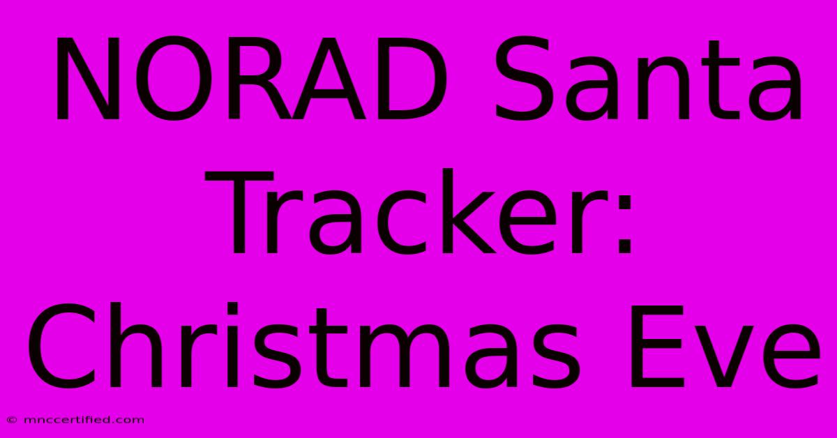 NORAD Santa Tracker: Christmas Eve