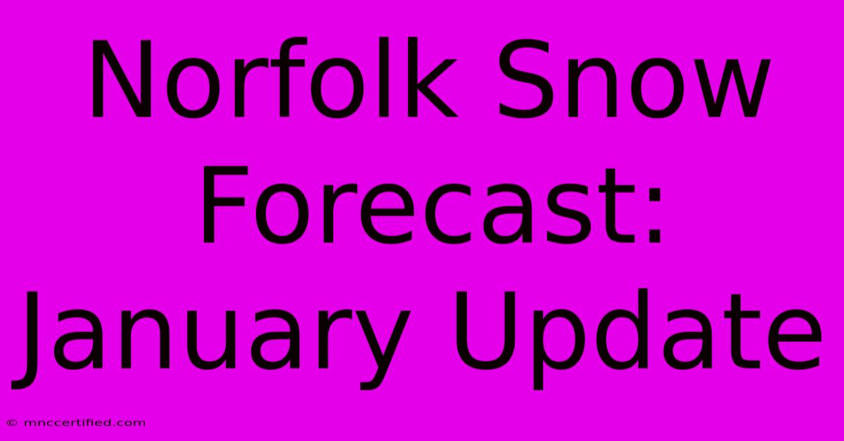 Norfolk Snow Forecast: January Update