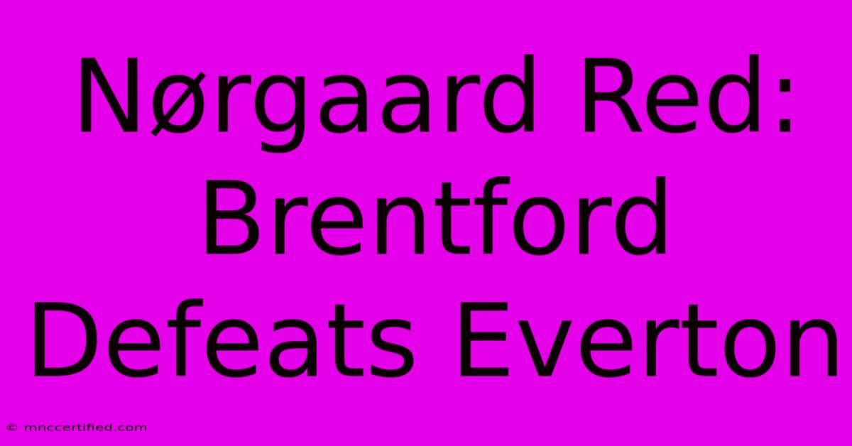 Nørgaard Red: Brentford Defeats Everton