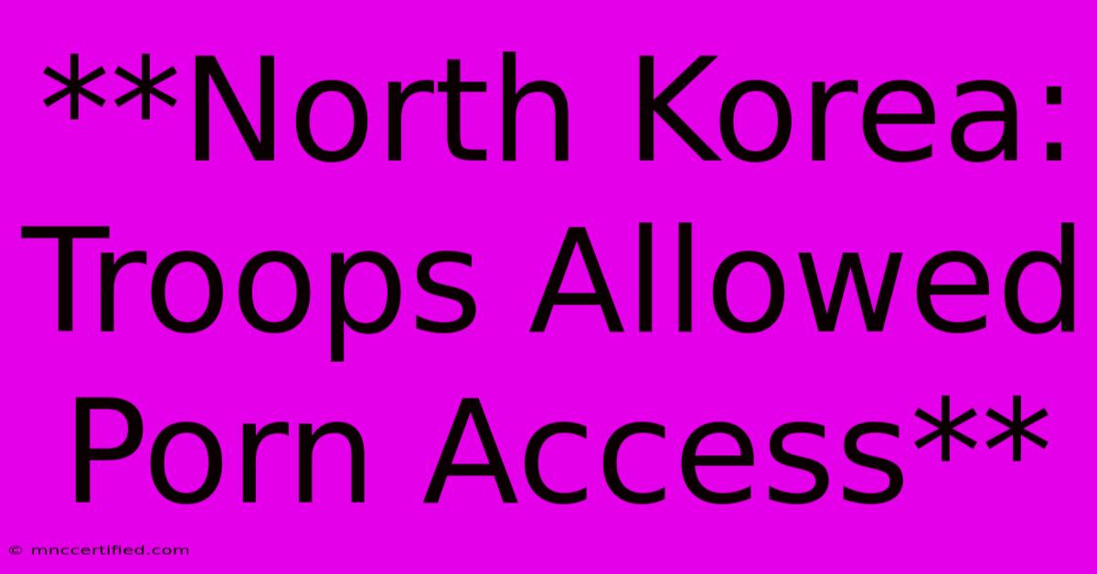 **North Korea: Troops Allowed Porn Access**