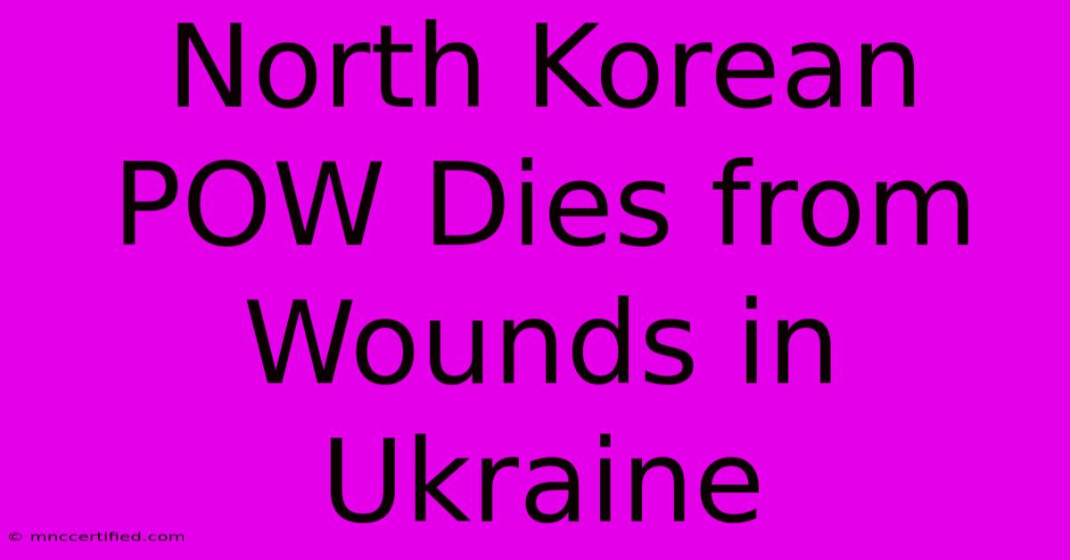 North Korean POW Dies From Wounds In Ukraine