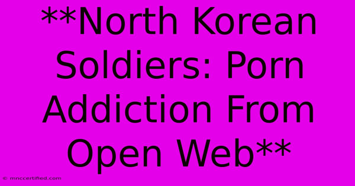 **North Korean Soldiers: Porn Addiction From Open Web**