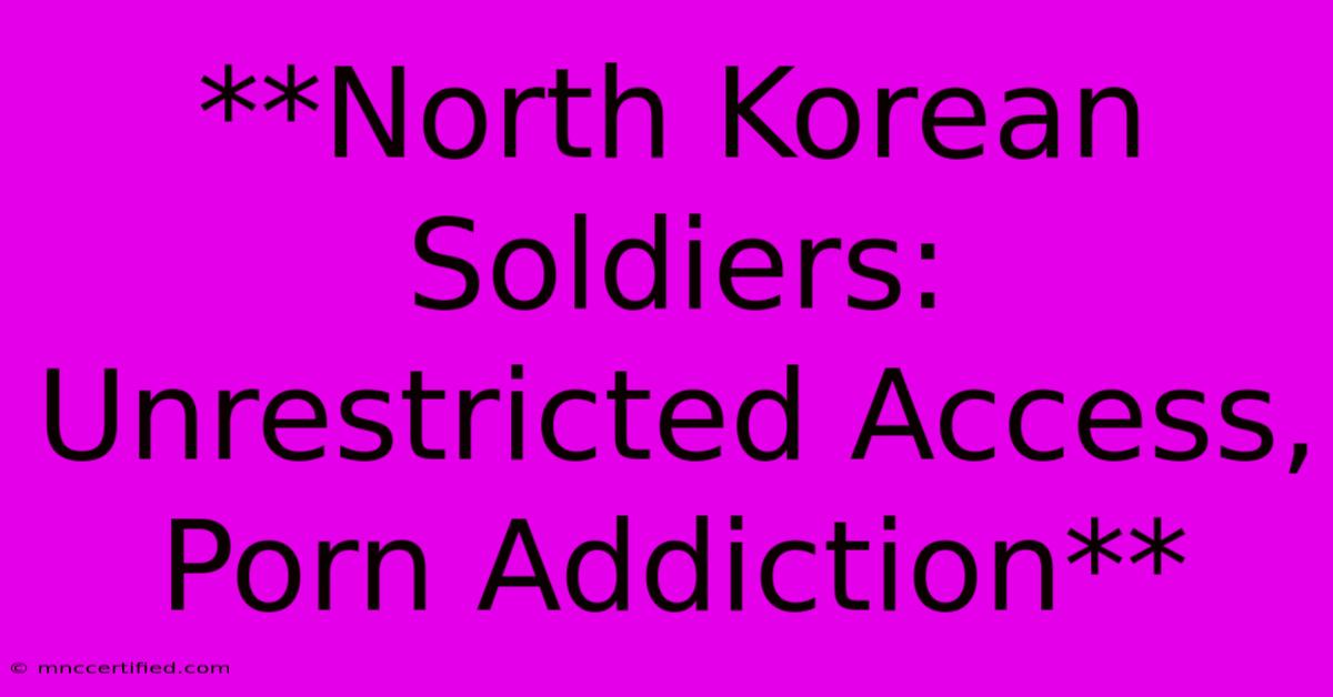 **North Korean Soldiers: Unrestricted Access, Porn Addiction**