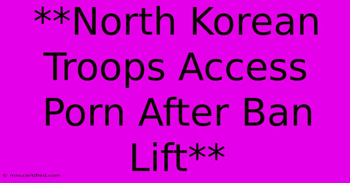 **North Korean Troops Access Porn After Ban Lift**