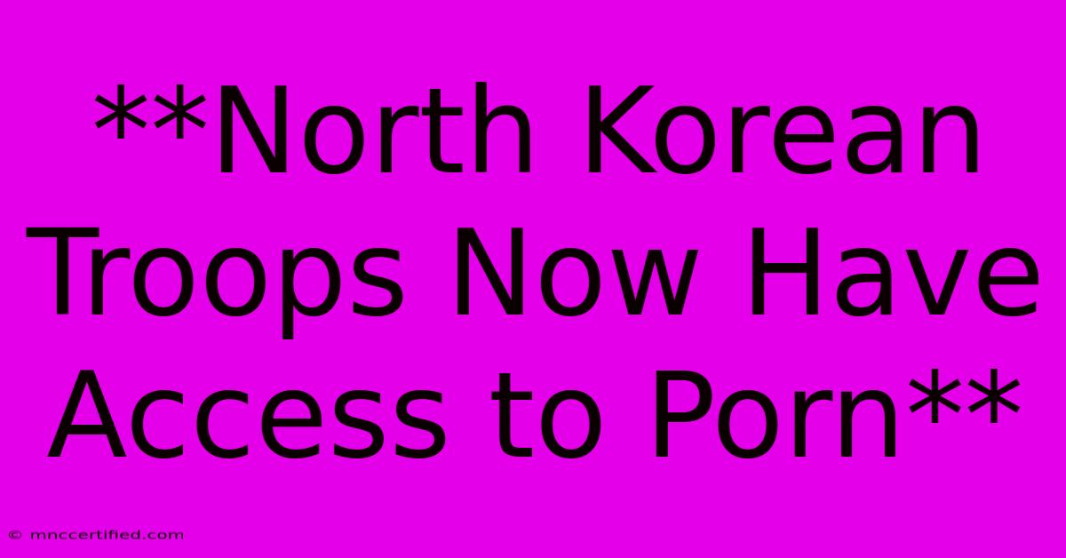 **North Korean Troops Now Have Access To Porn** 