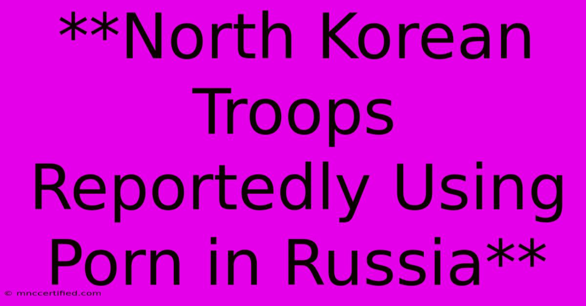 **North Korean Troops Reportedly Using Porn In Russia**